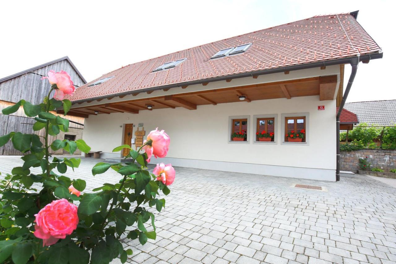 Apartments Vrdjan Cerknica Ngoại thất bức ảnh