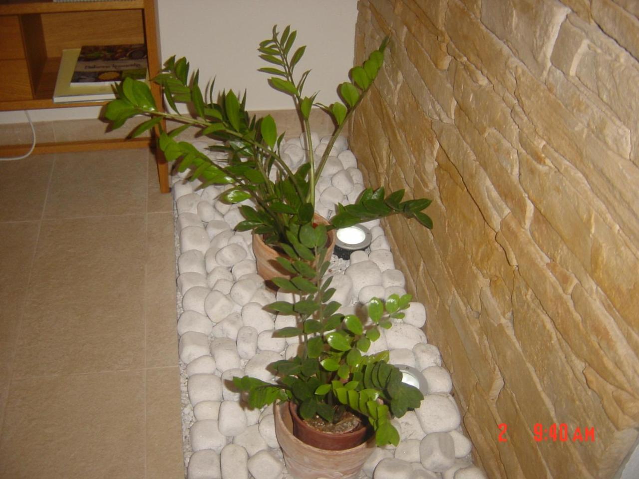 Apartments Vrdjan Cerknica Ngoại thất bức ảnh
