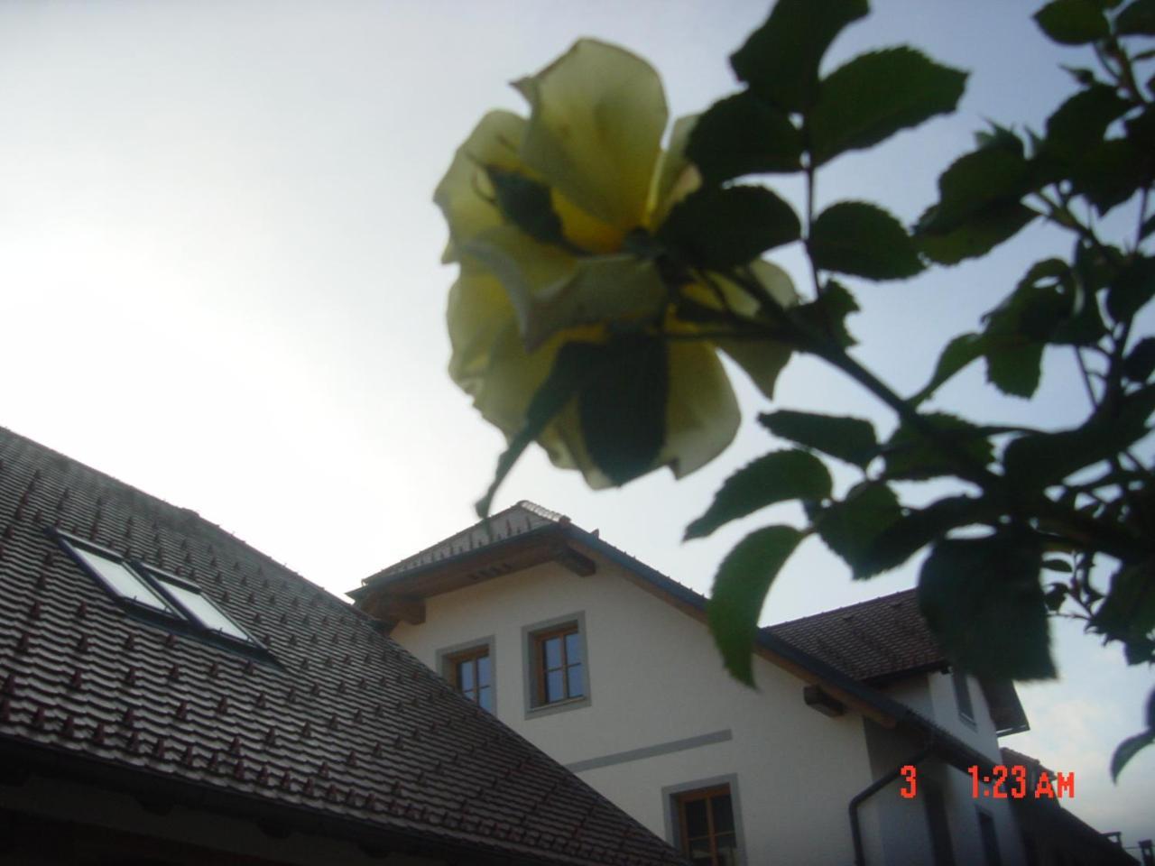 Apartments Vrdjan Cerknica Ngoại thất bức ảnh